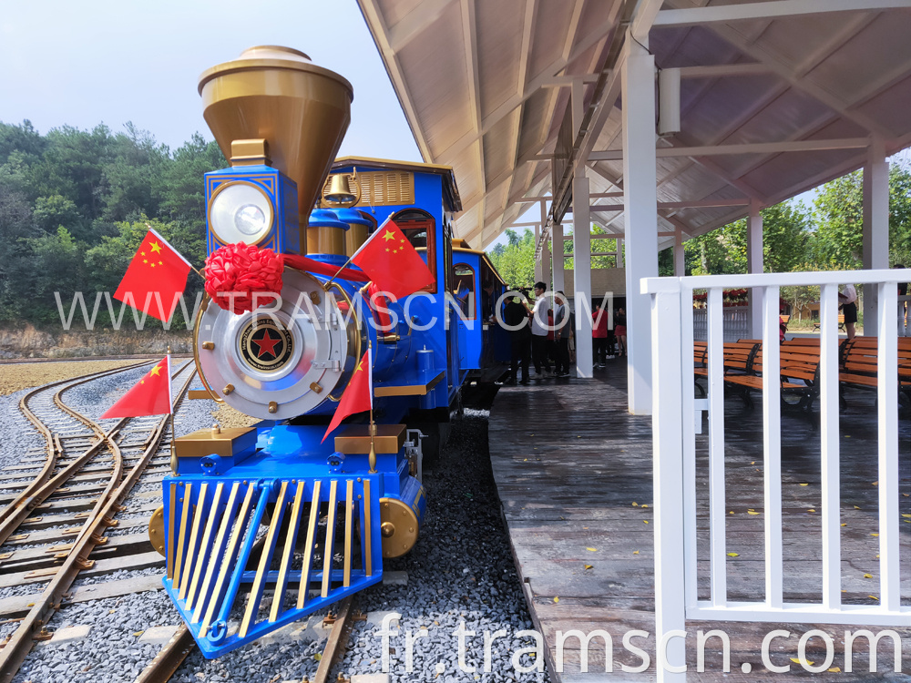 Park trains in blue colour